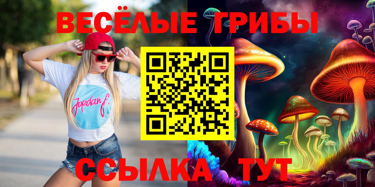 Псилоцибиновые грибы GOLDEN TEACHER  Псилоцибиновые грибы мицелий  Вход с VPN  Вышний Волочёк 